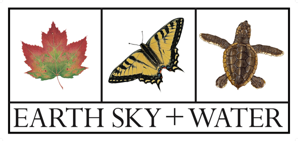 Earth Sky + Water Logo